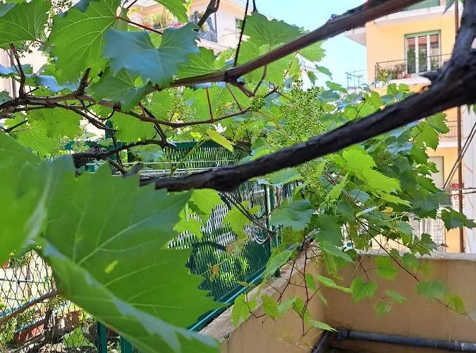 公寓 La Casa Di Marina *